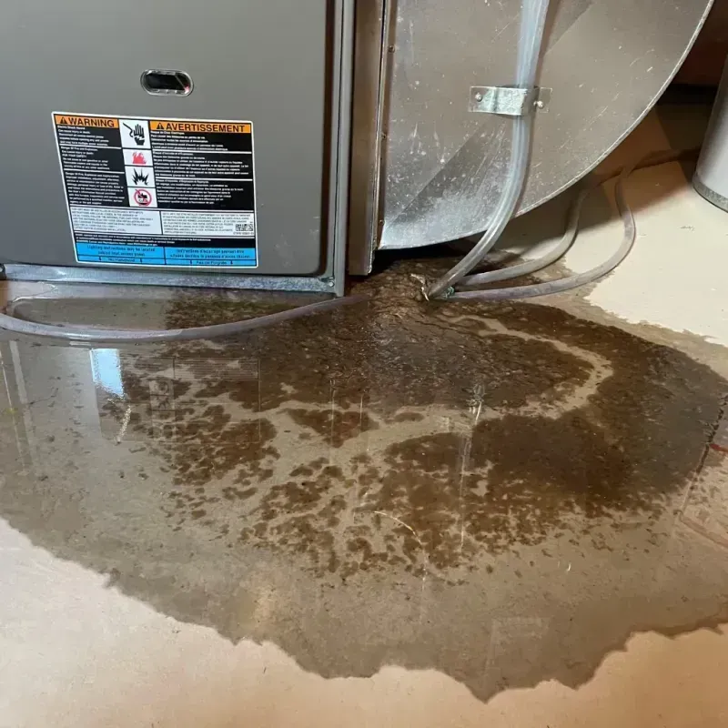 Appliance Leak Cleanup in Pearl River County, MS